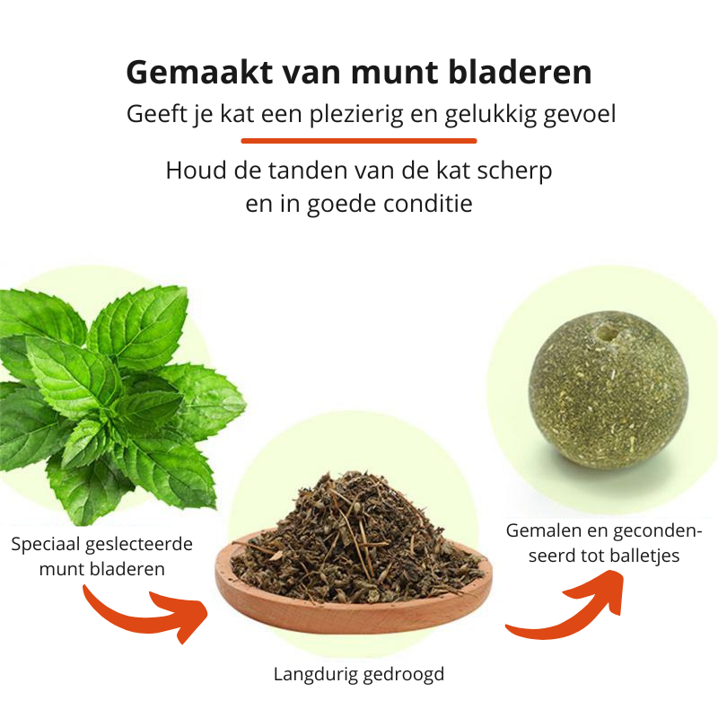 Purrfect - Speelgoed voor Gelukkige Katten