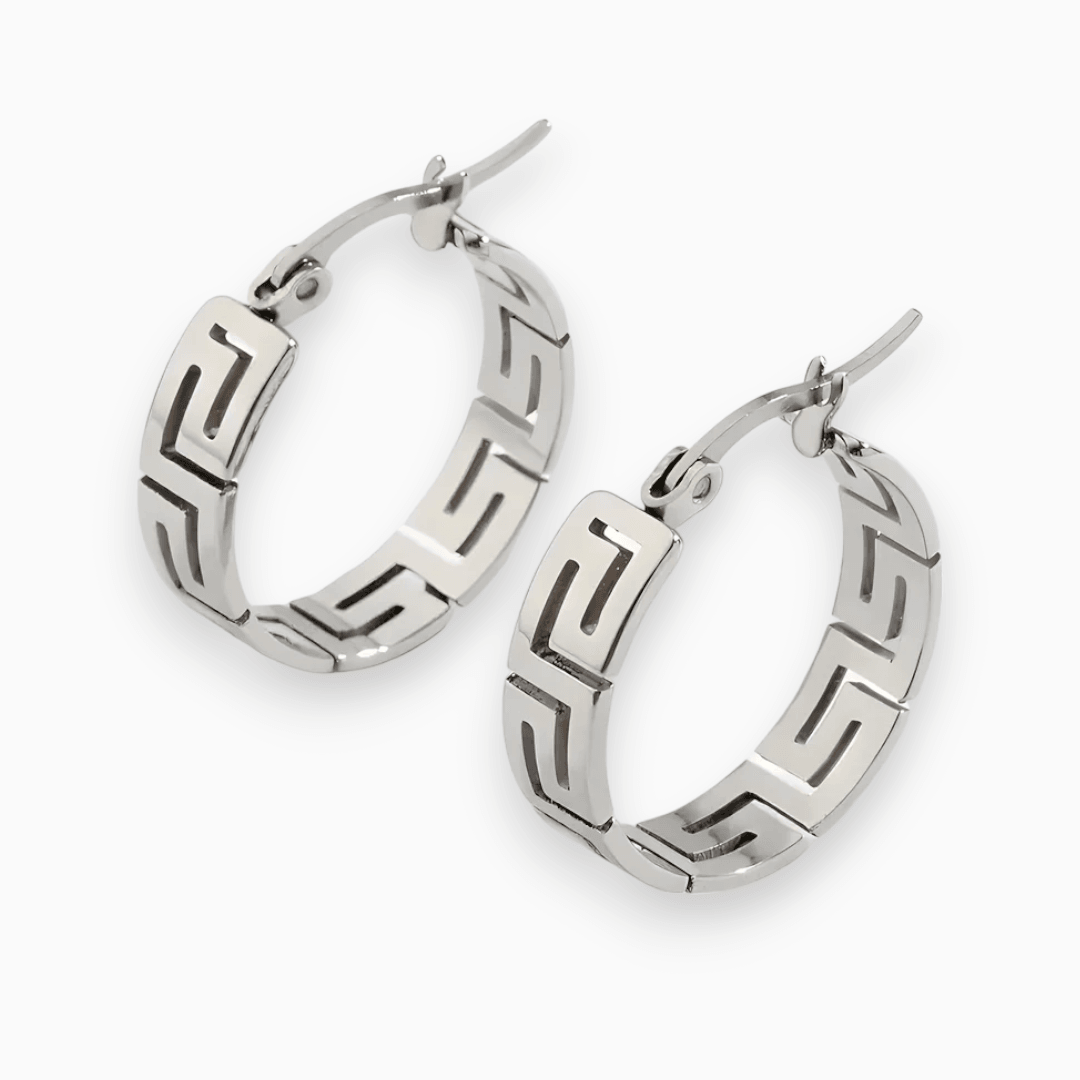 EleganceEarrings - Luxe Lila Oorbellen