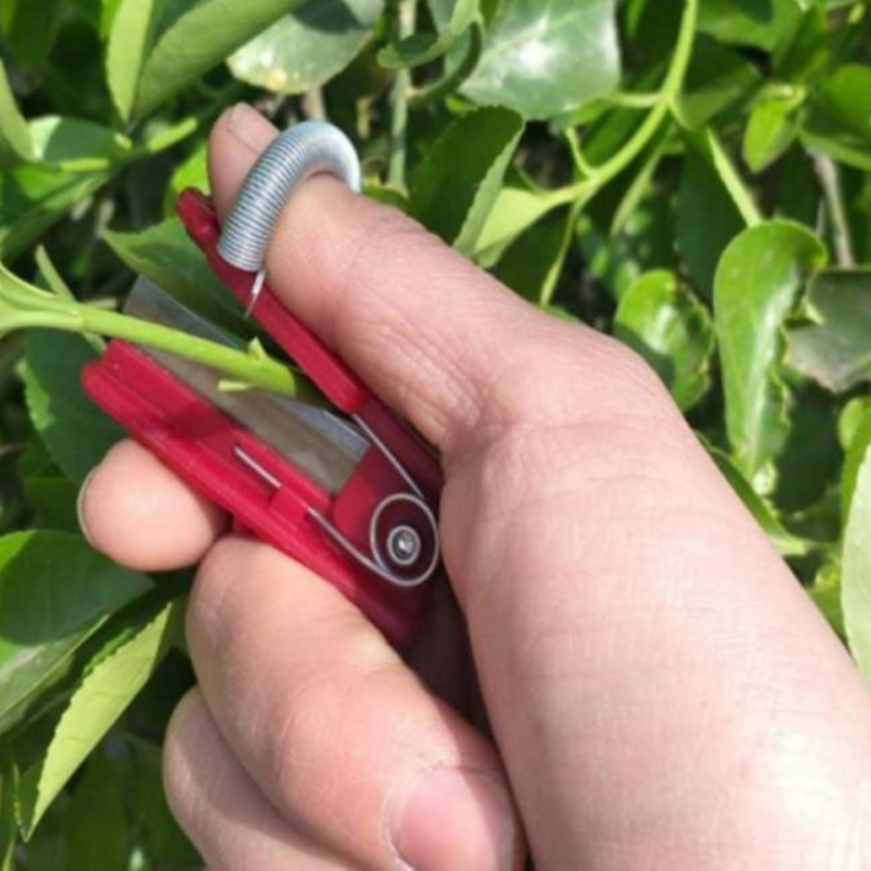 GardenGrip Tool – Eenvoudig Groenten en Fruit Plukken