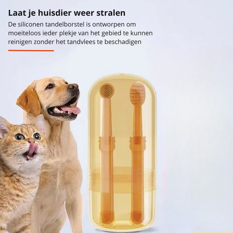 DoggyDent – Professionele Tandenborstel voor Honden
