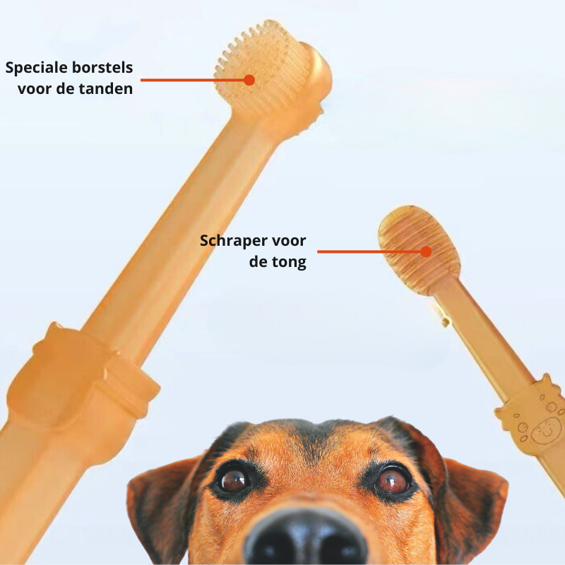 DoggyDent – Professionele Tandenborstel voor Honden