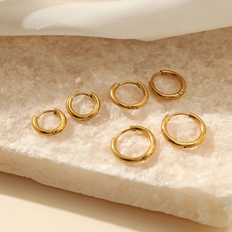 Sophia Hoop Earrings – Elegante Oorbellen in Zilver