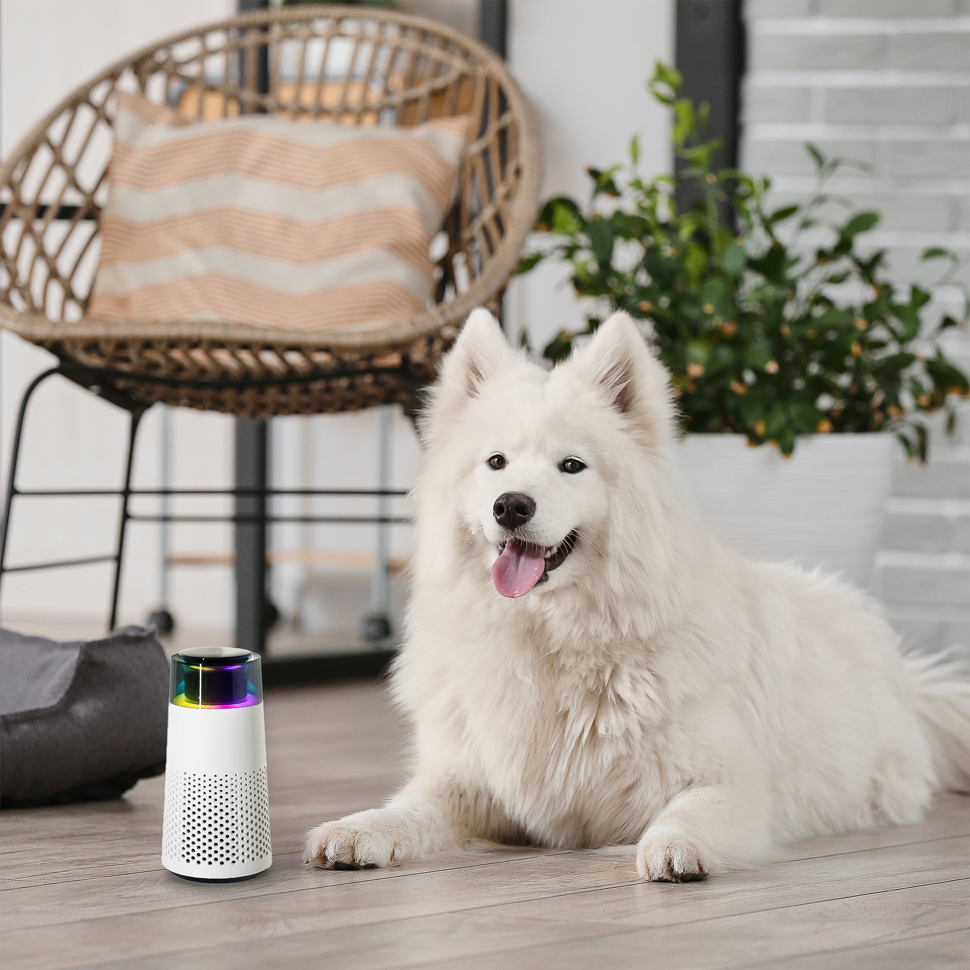 PetFresh - Aromatische Geurverspreider voor Huisdieren