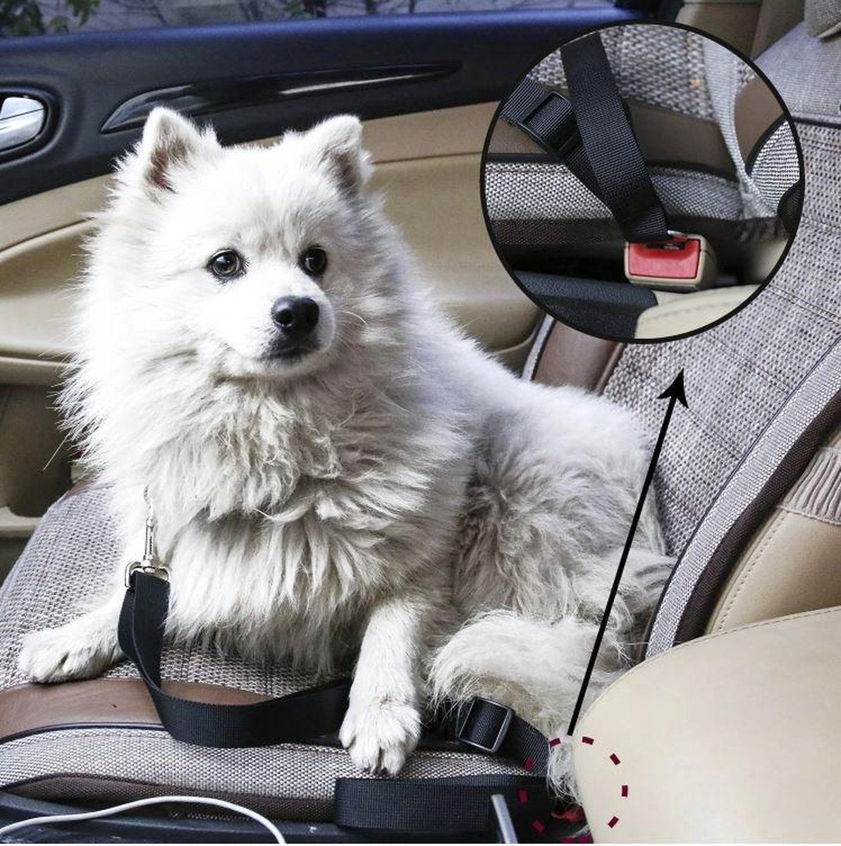 PetSecure - Veiligheidsautogordel voor Huisdieren