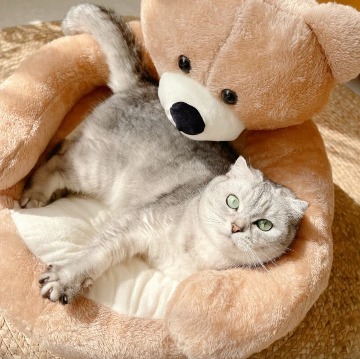 Samiya – Luxe Pluche Kattenbed voor Slaapcomfort