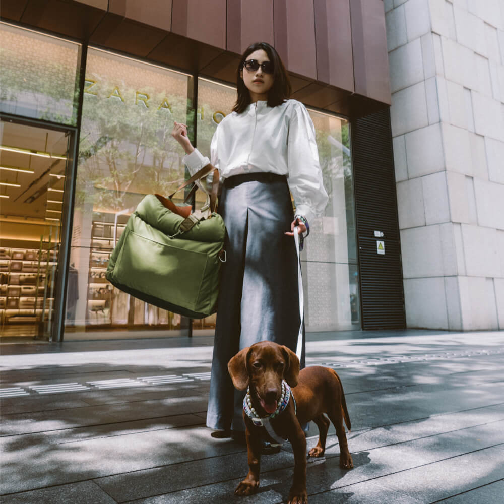 PawLuxury - Luxe Hondengereedschap voor Comfortabele Autoreizen