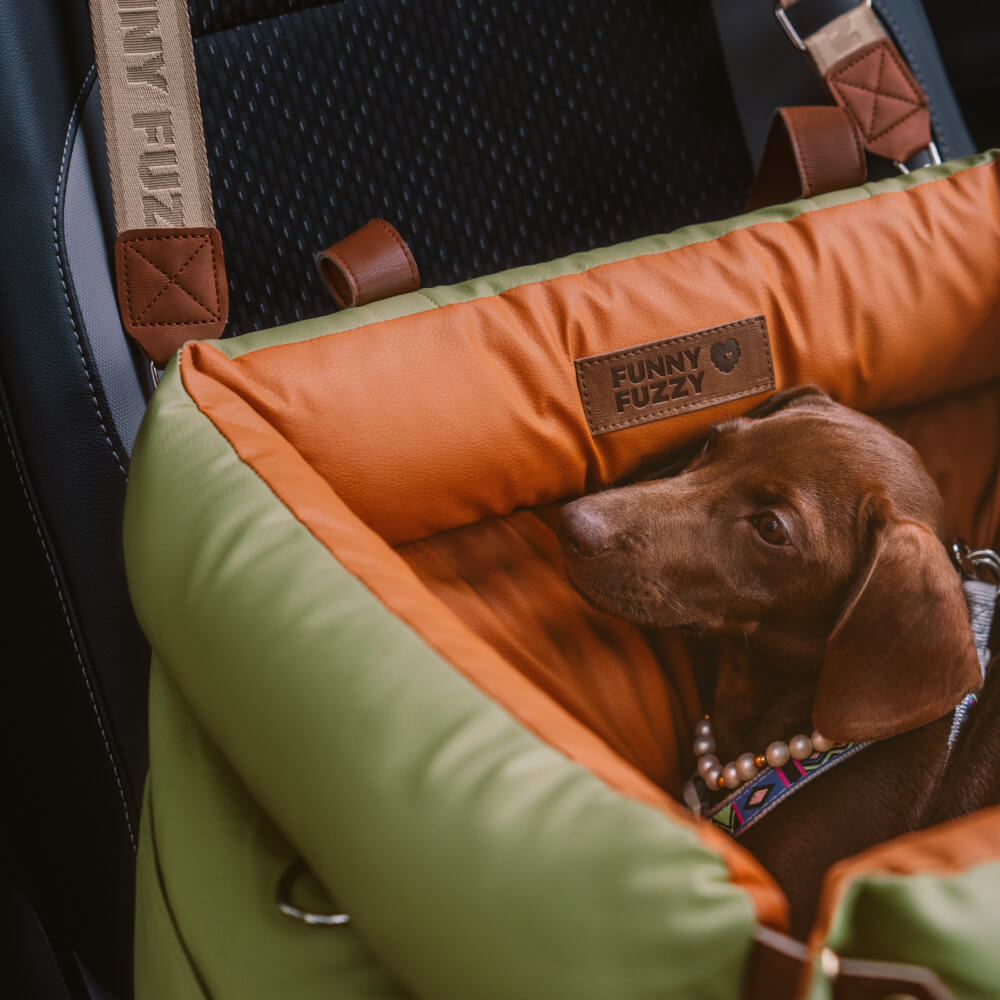 PawLuxury - Luxe Hondengereedschap voor Comfortabele Autoreizen