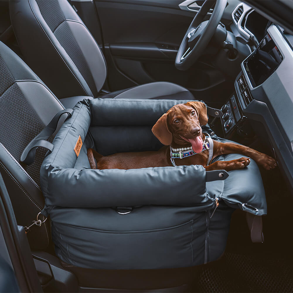 PawLuxury - Luxe Hondengereedschap voor Comfortabele Autoreizen