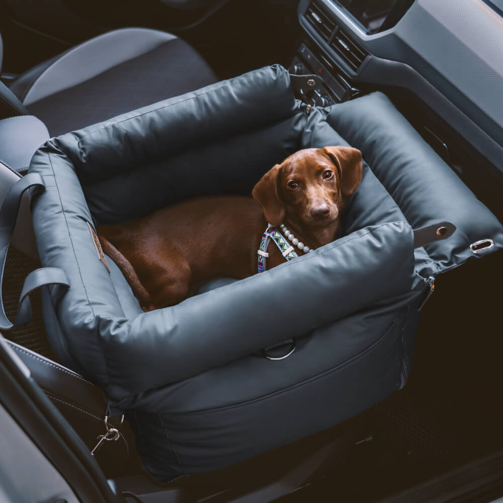 PawLuxury - Luxe Hondengereedschap voor Comfortabele Autoreizen
