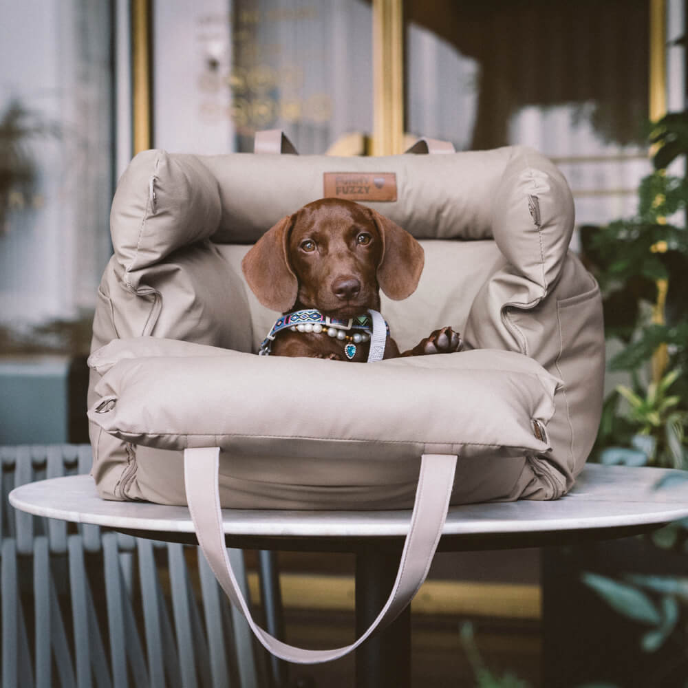 PawLuxury - Luxe Hondengereedschap voor Comfortabele Autoreizen