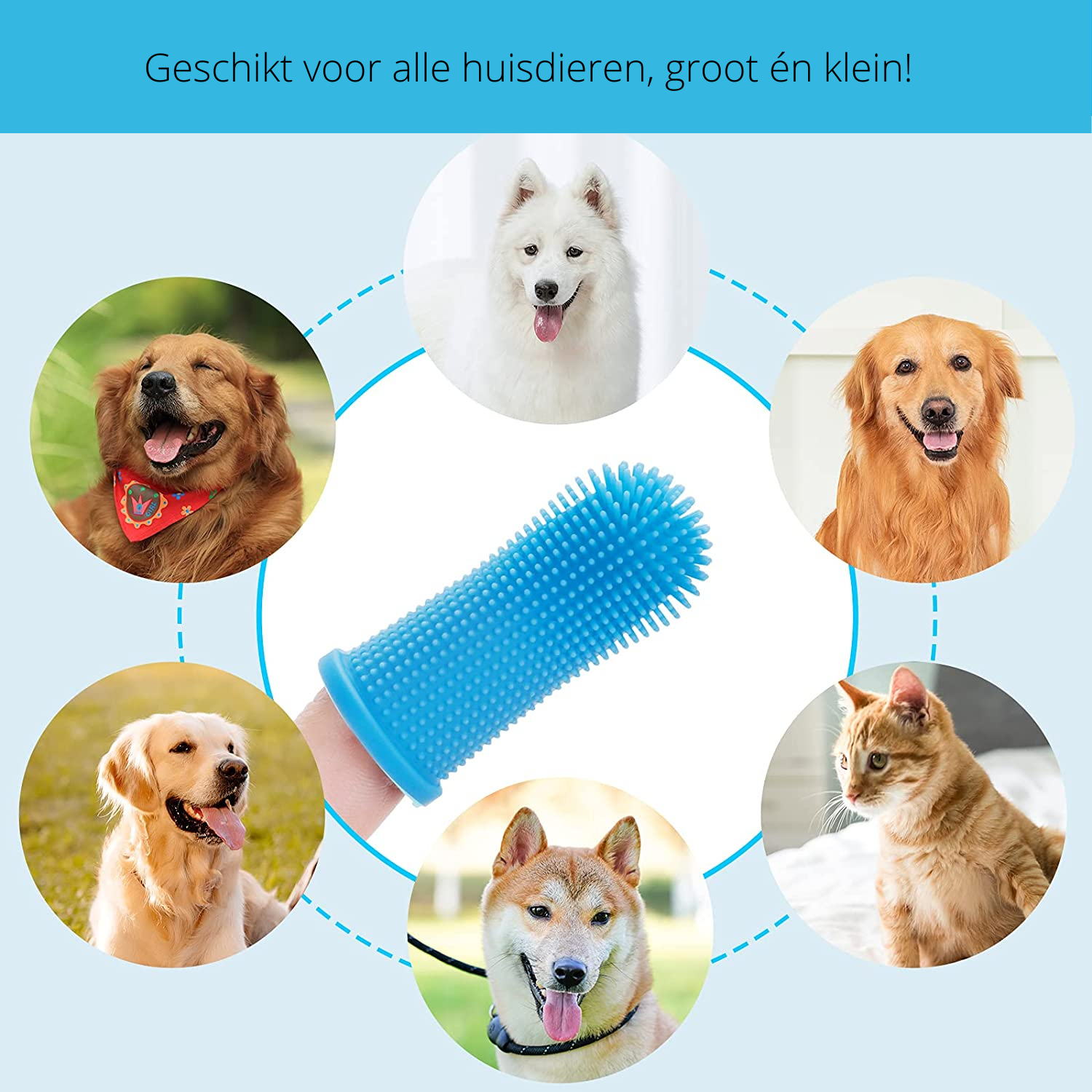 PawClean Pro - Veilig Honden Gebitsverzorging voor Thuis