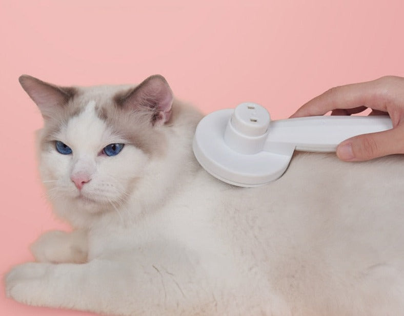 SelfClean - Innovatieve Kattenborstel voor Verzorging