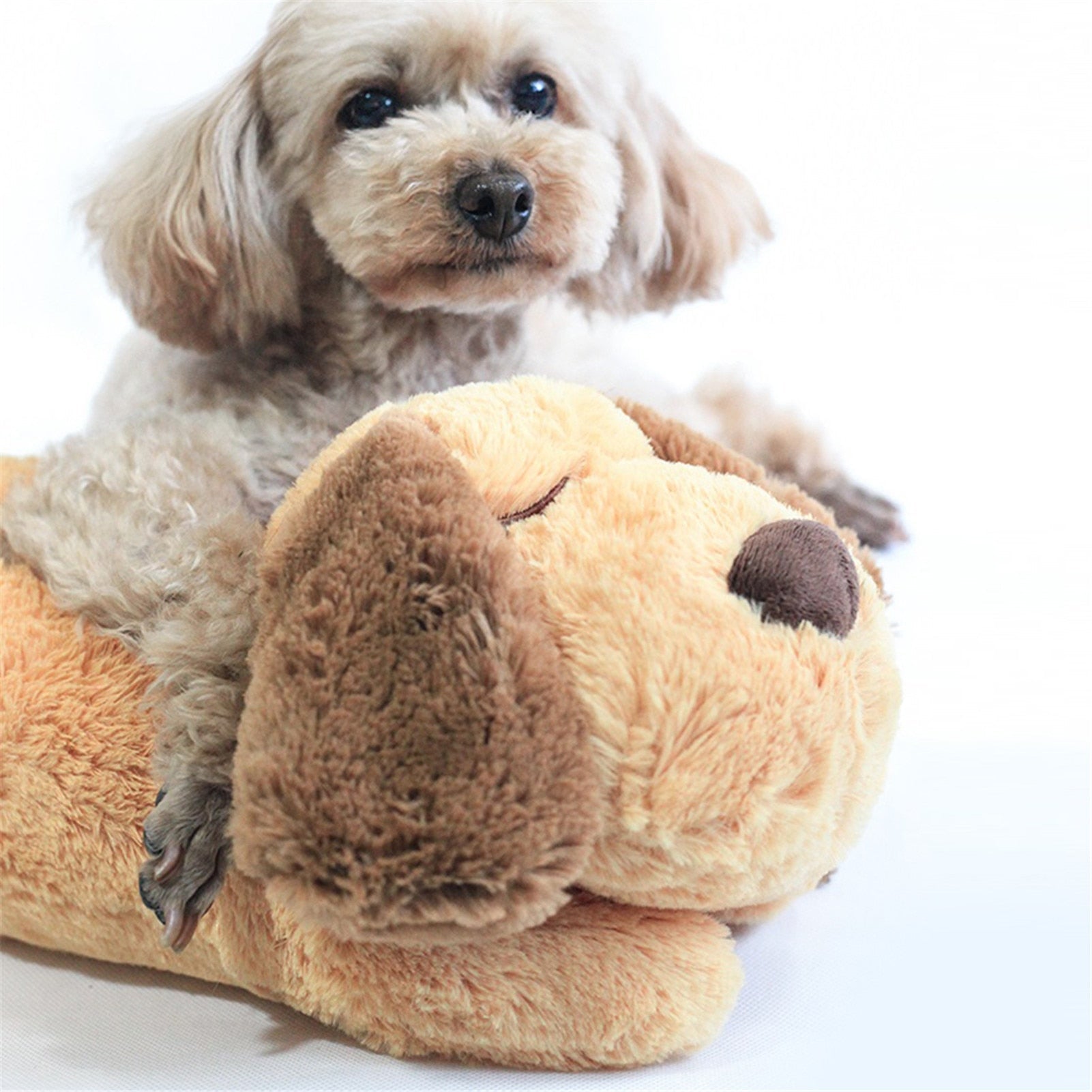 CuddlePup – Comfortabel Speelmaatje voor Honden