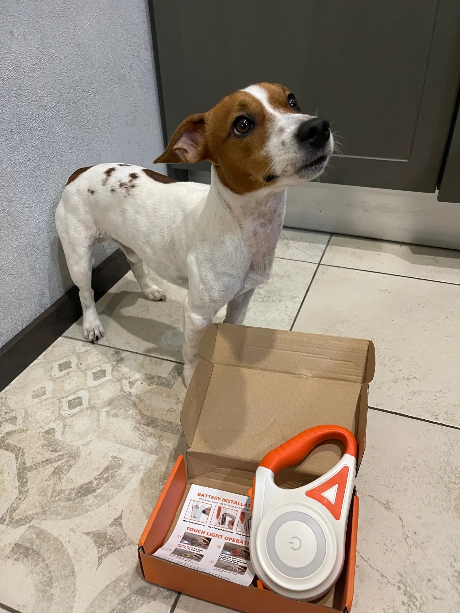 SafeWalk Leash – Verlichte Hondriem voor Veilig Wandelen