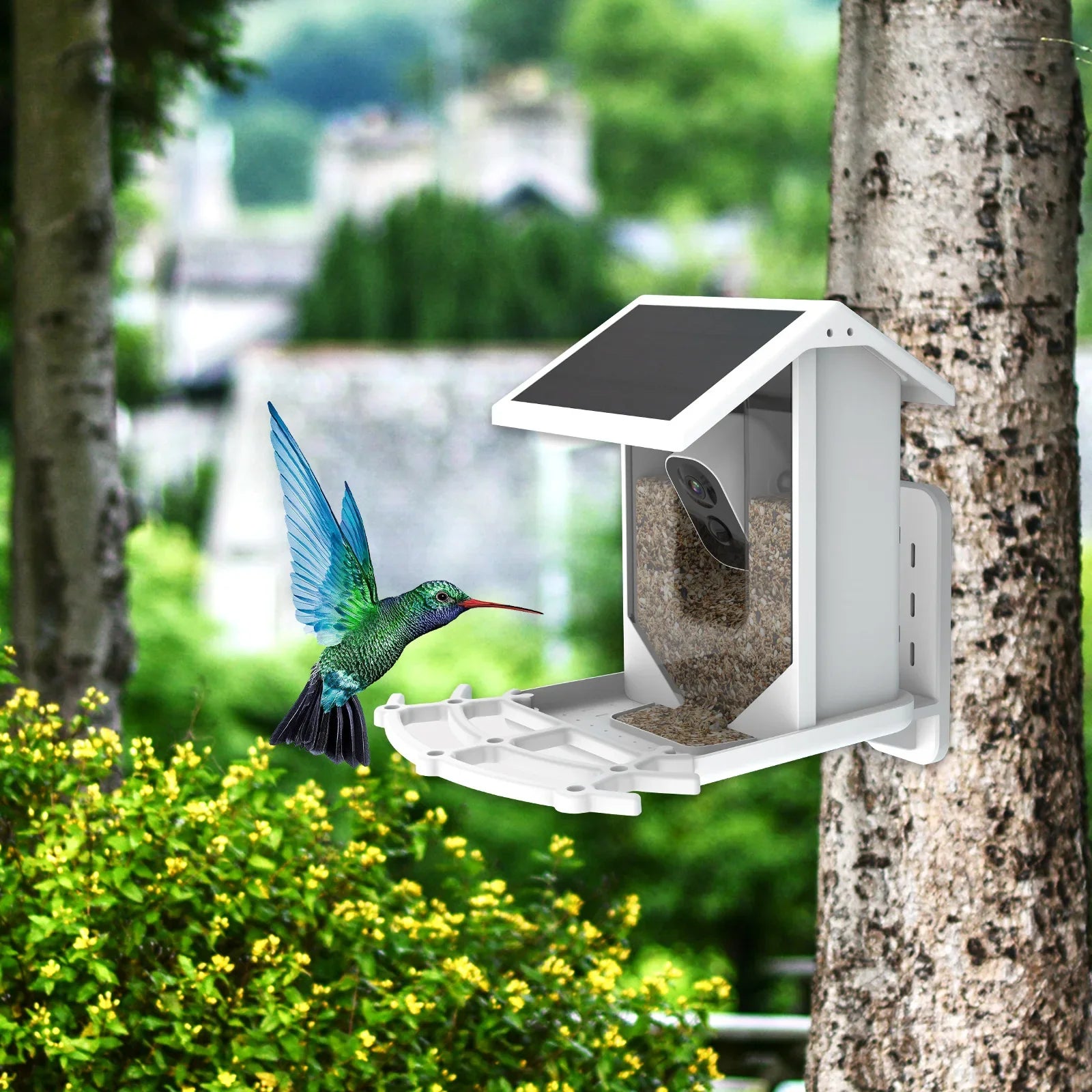 Draadloze Solar Vogelvoederplaats - Verken de natuur op unieke wijze!