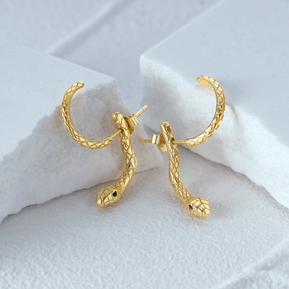 SerpentEdge Earrings - Elegante Slangvormige Oorbellen
