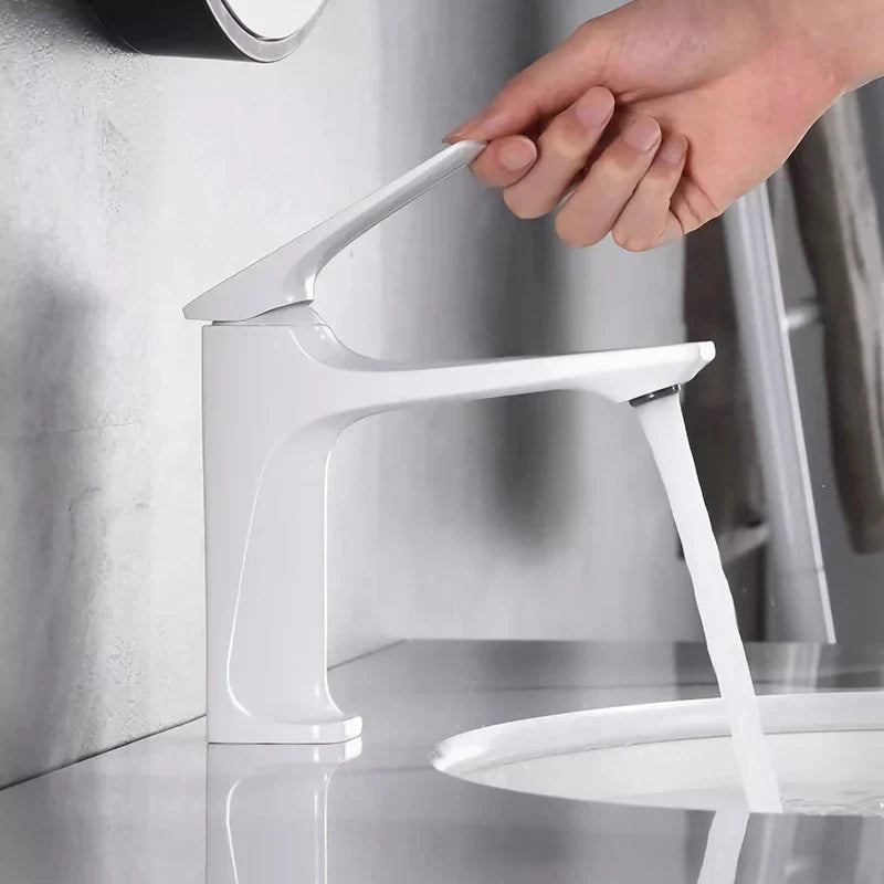 Elegante Badkamerkraan - met Enkele Hendel voor Tijdloos Comfort