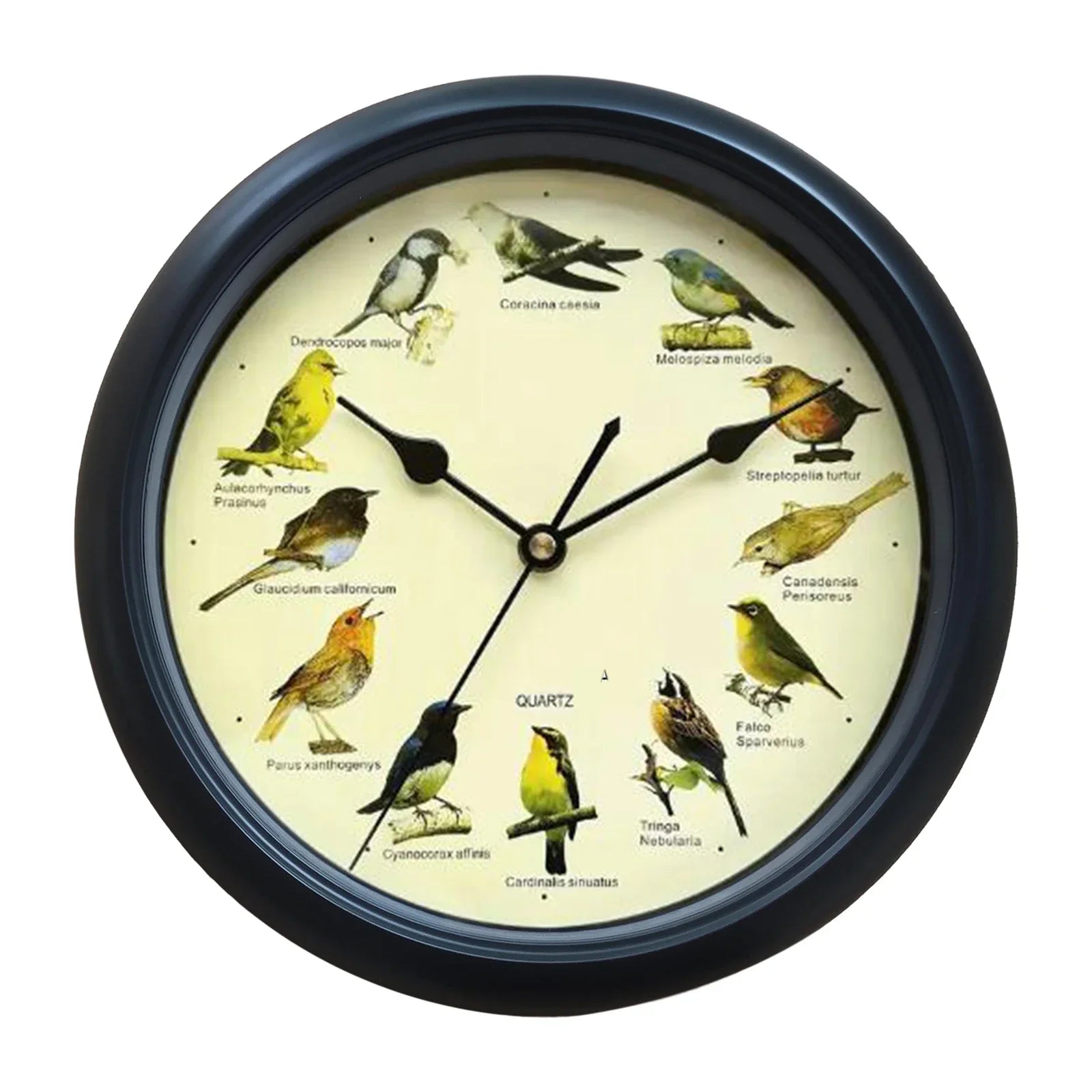 BirdSong Clock – 10 Inch Wandklok voor Stijlvol Interieur