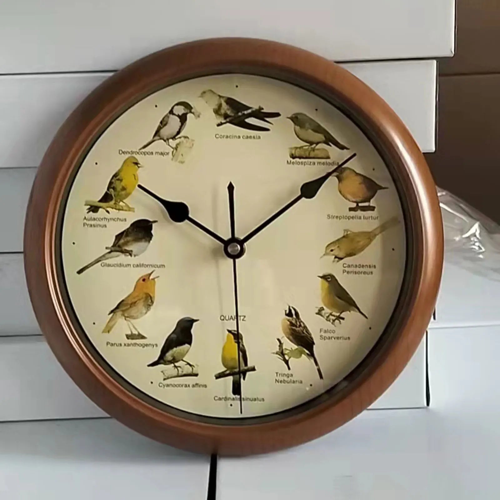 BirdSong Clock – 10 Inch Wandklok voor Stijlvol Interieur
