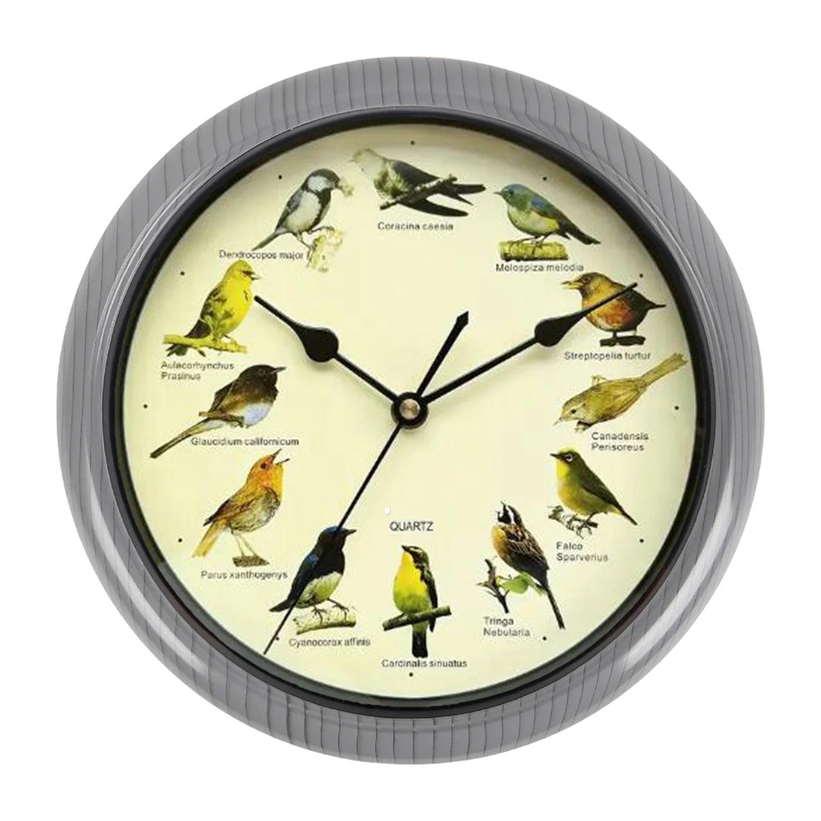 BirdSong Clock – 10 Inch Wandklok voor Stijlvol Interieur