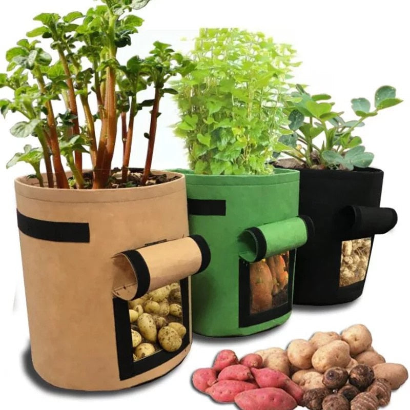GrowMaster Pots – Stijlvolle Kweekpot voor Groenten