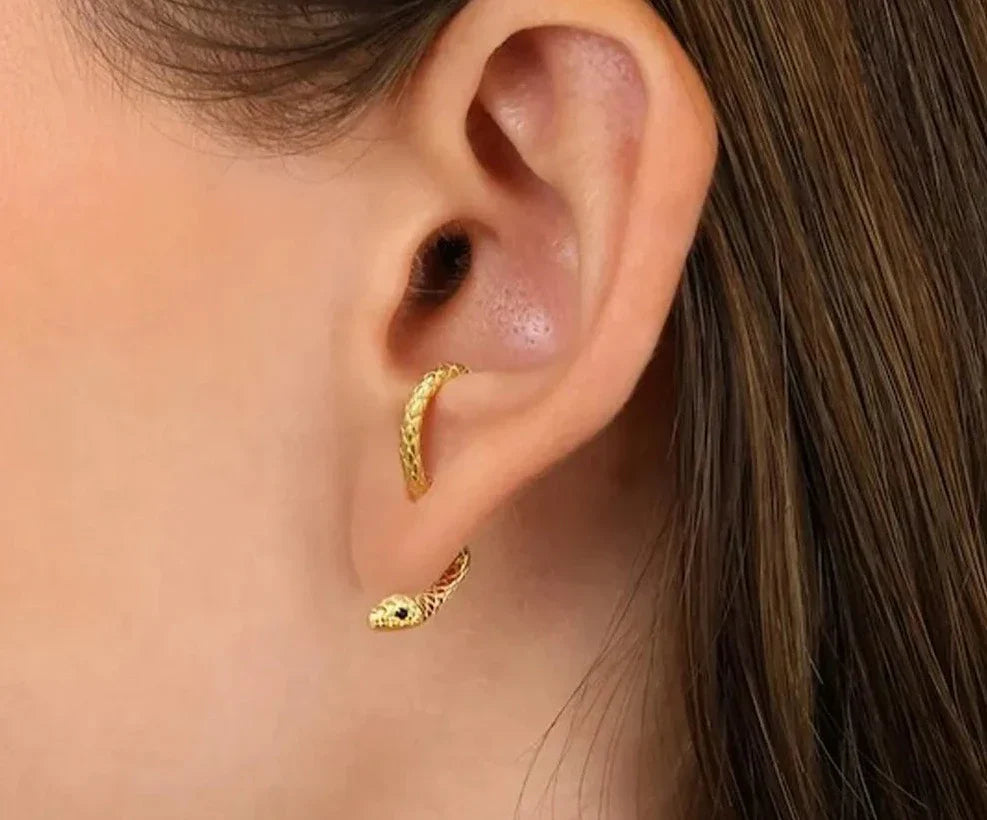 SerpentEdge Earrings - Elegante Slangvormige Oorbellen