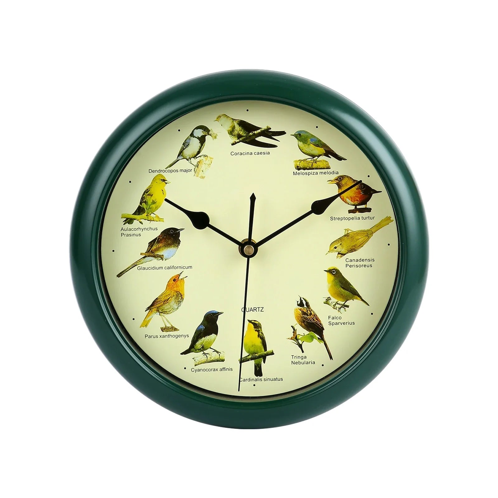 BirdSong Clock – 10 Inch Wandklok voor Stijlvol Interieur