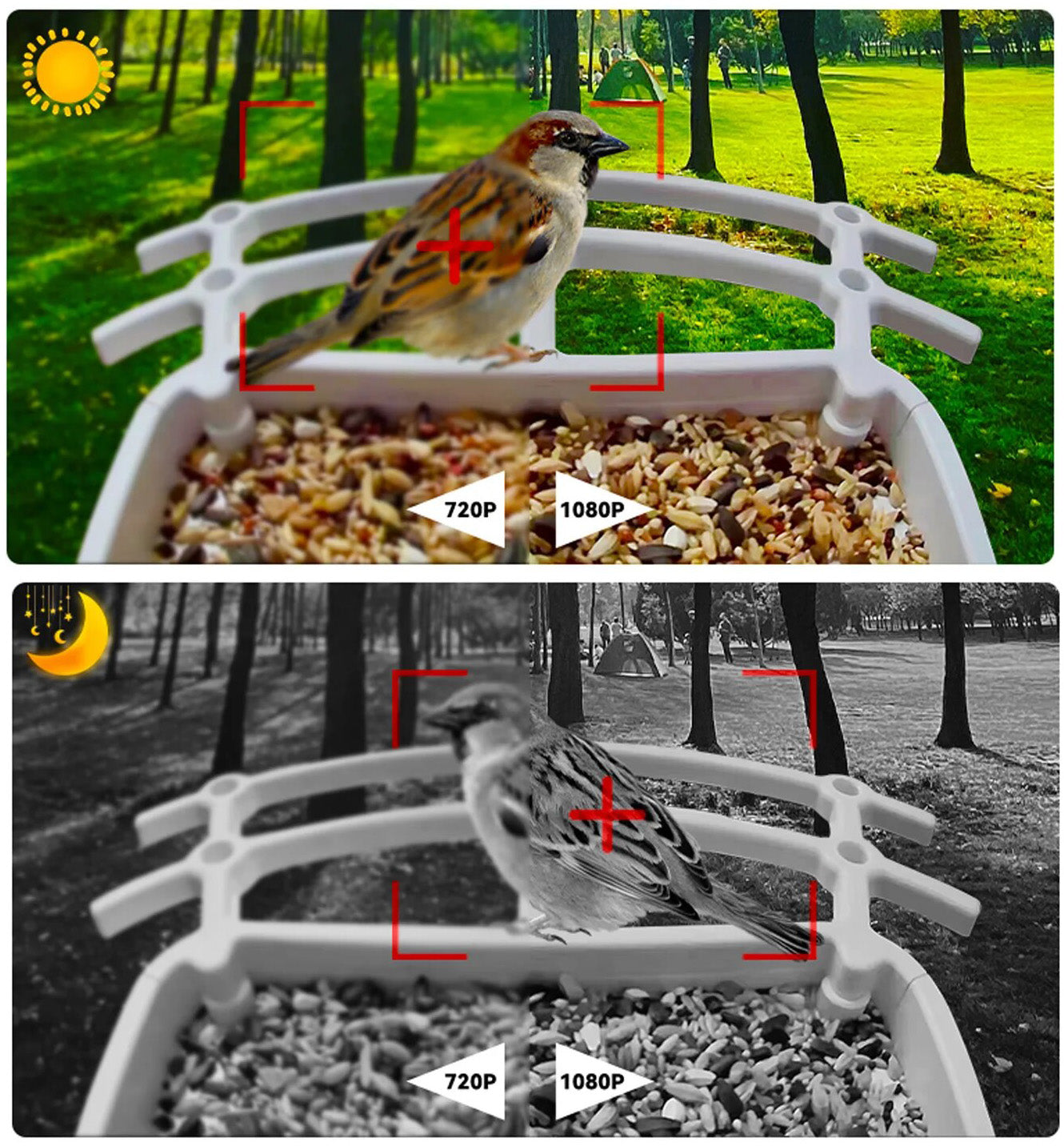 Draadloze Solar Vogelvoederplaats - Verken de natuur op unieke wijze!
