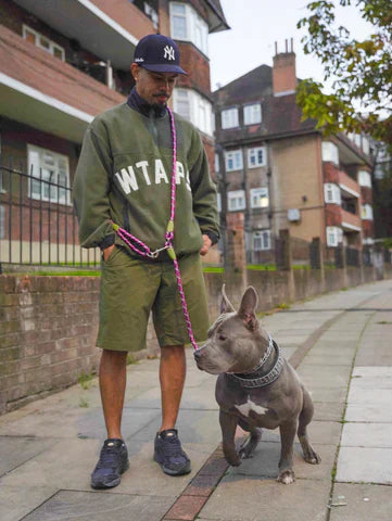 FreedomLeash – Innovatieve Handsfree Hondentrekker