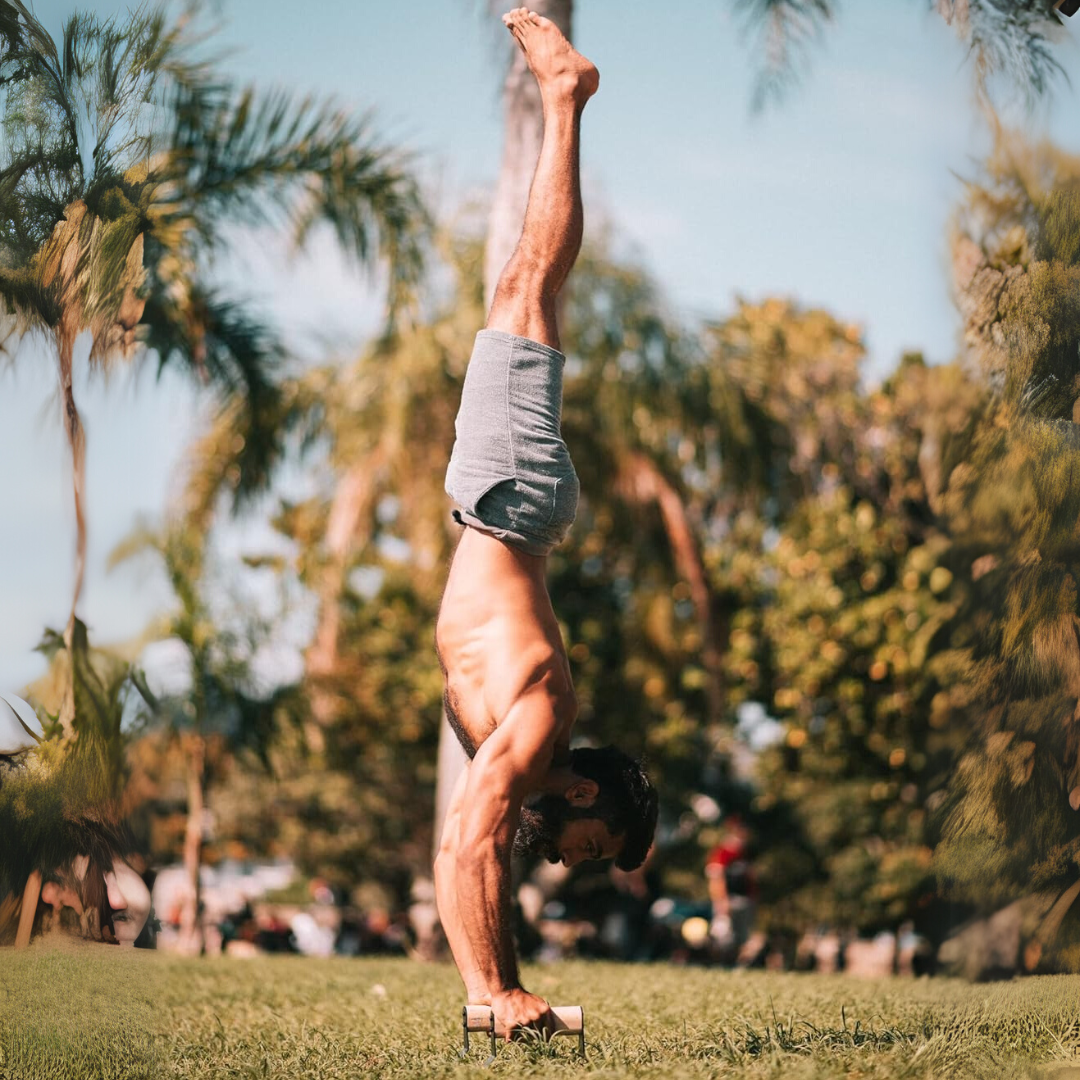 PowerGrip - Houten Push-Up Parallettes met Antislip