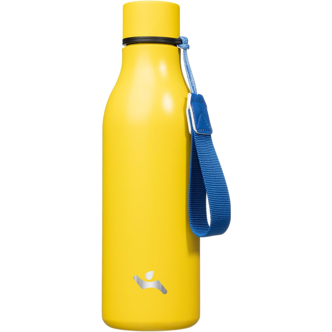 CoolFlow – Stijlvolle RVS Waterfles met Handgreep