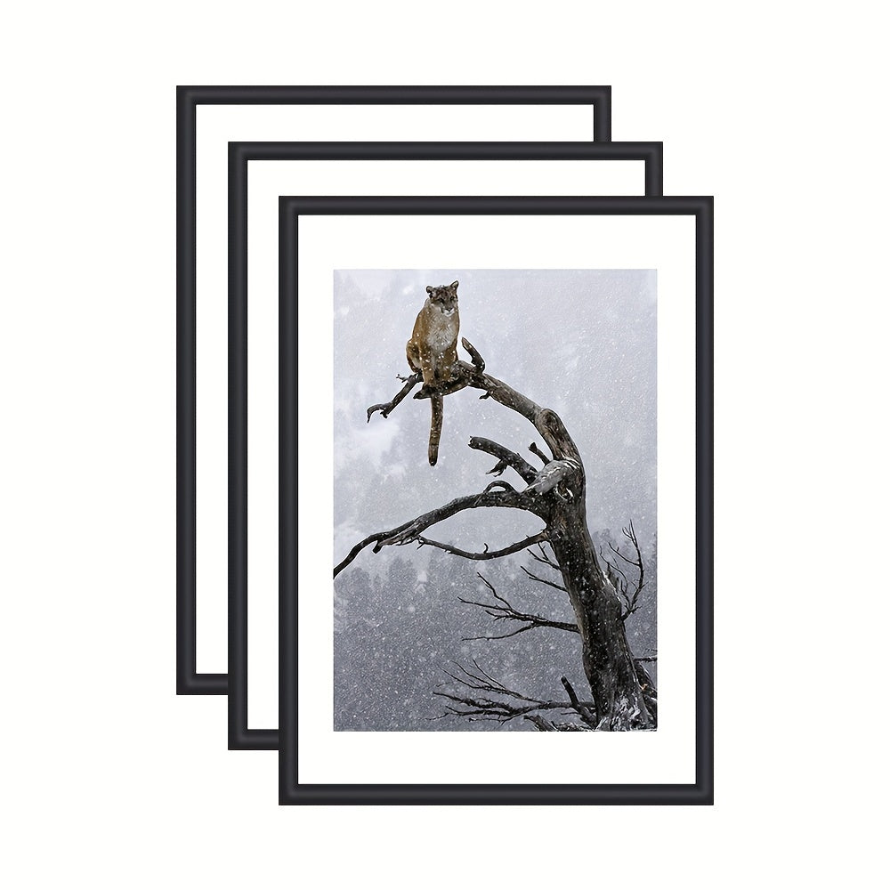 GalleryFrame – Set van 3 Zwarte Fotolijsten voor Wanden en Tafels