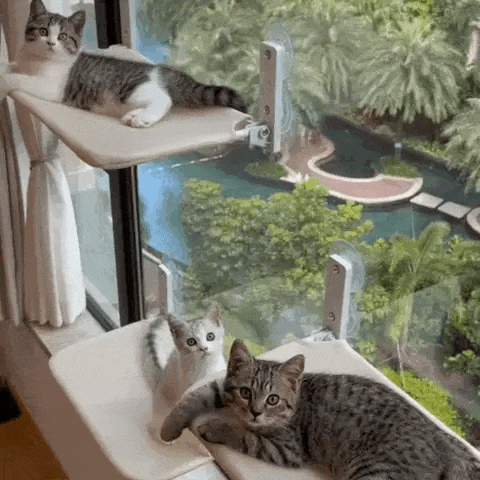 PawPerch – Stijlvolle Opvouwbare Kattenhangmat