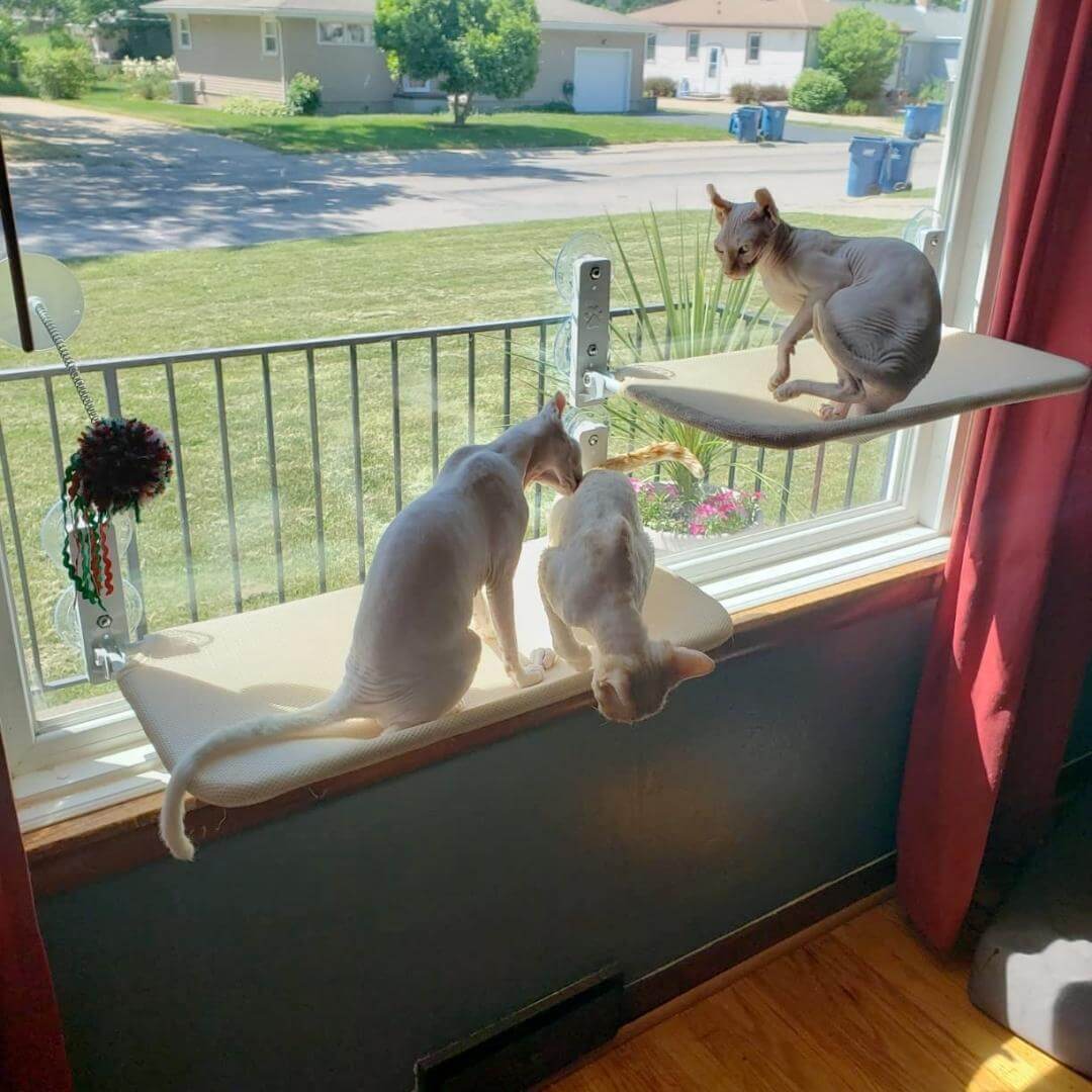 PawPerch – Stijlvolle Opvouwbare Kattenhangmat