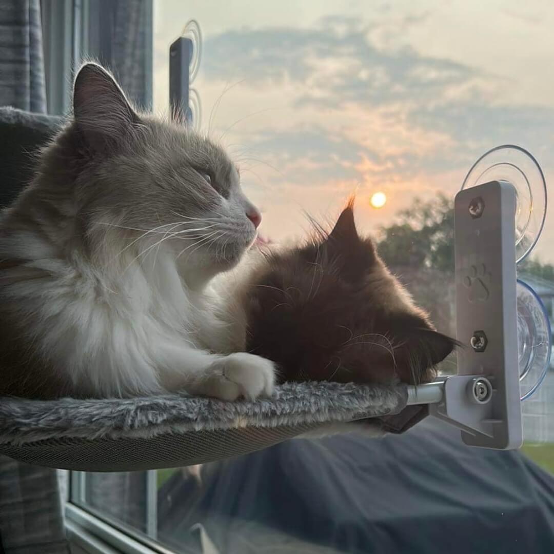 PawPerch – Stijlvolle Opvouwbare Kattenhangmat