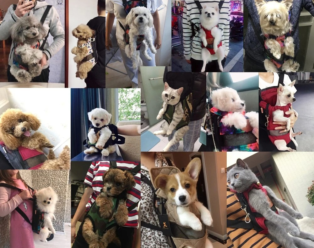 TravelBuddy Carrier – Luxe Dierenreistas met Comfort