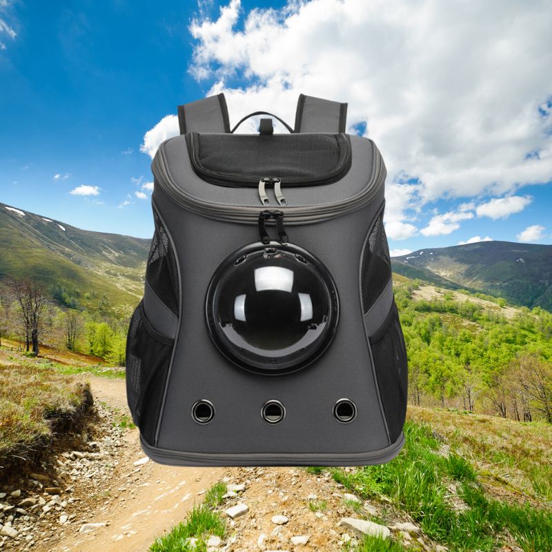 CatTrekker - Luxe Kattenreistas met Panoramisch Uitzicht