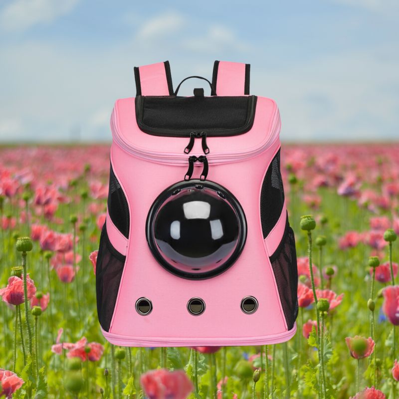 CatTrekker - Luxe Kattenreistas met Panoramisch Uitzicht