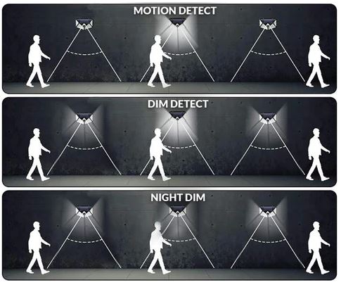 Solar LED Motion Light ™ (incl. Bewegingssensor) - Verlicht jouw tuin zonder bekabeling!