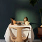 ShroomLite - Elegante Draagbare Tafelverlichting