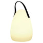 LuminaGlow Luxe LED Verlichting – Draagbaar en Waterdicht met 16 Kleuren