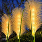 SunReed – Stijlvolle Rieten Buitenverlichting voor de Tuin