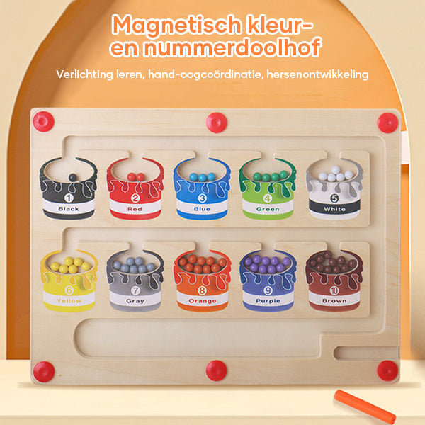 ColorMaze - Creatief Magnetisch Kleuren- en Cijferdoolhof