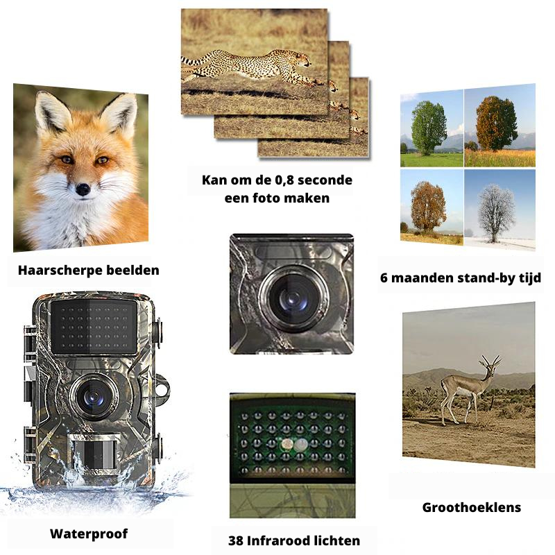 TrailVision – Compacte 4K Buiten Camera met Nachtzicht