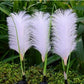 SunReed – Stijlvolle Rieten Buitenverlichting voor de Tuin
