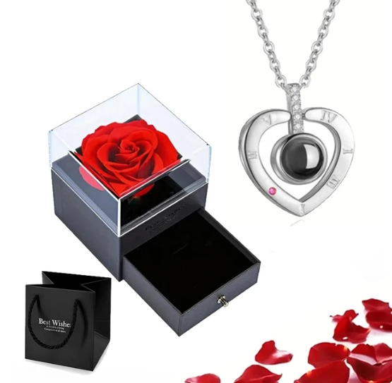 EternalLove Necklace – Hartvormige Ketting in 100 Talen