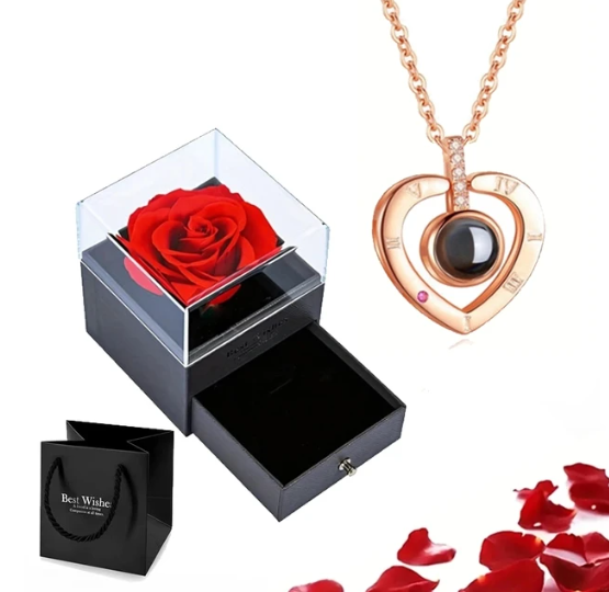 EternalLove Necklace – Hartvormige Ketting in 100 Talen