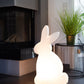 PlayRabbit - Speelse Tuinverlichting voor Binnen en Buiten