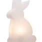 PlayRabbit - Speelse Tuinverlichting voor Binnen en Buiten