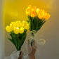 TulipGlow Lamp – LED Bloem Nachtlamp voor de Kamer
